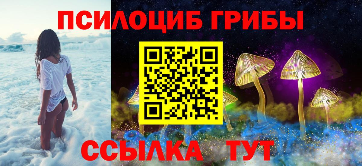 Псилоцибиновые грибы Cubensis  Галлюциногенные грибы мицелий  Вход с VPN  Чита 